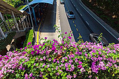 《伏尔加维京2》正式公布 今年8月全平台发售